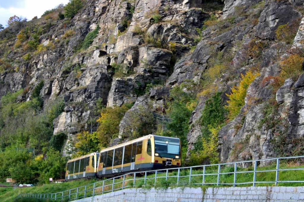 Haus-Donau In Der Wachau Διαμέρισμα Aggsbach Εξωτερικό φωτογραφία