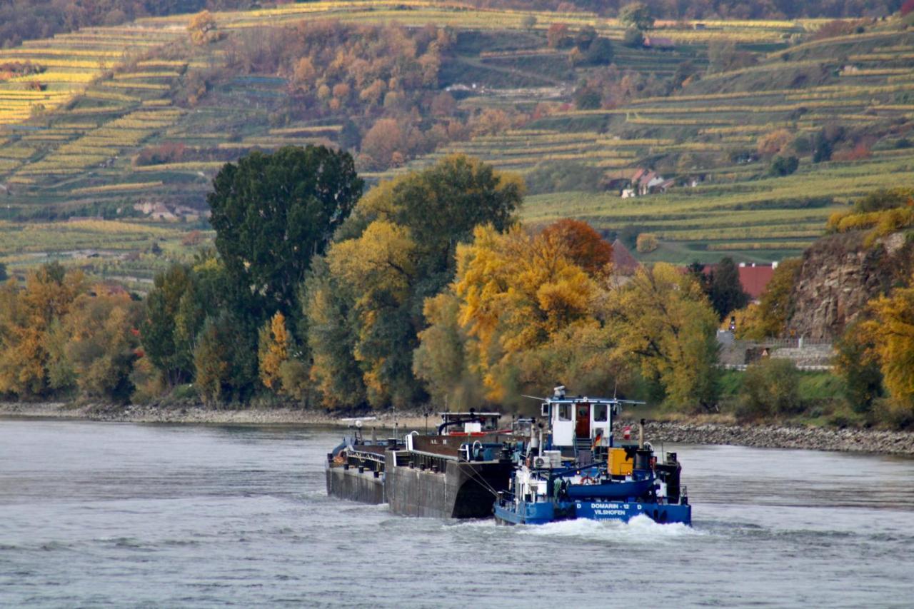 Haus-Donau In Der Wachau Διαμέρισμα Aggsbach Εξωτερικό φωτογραφία