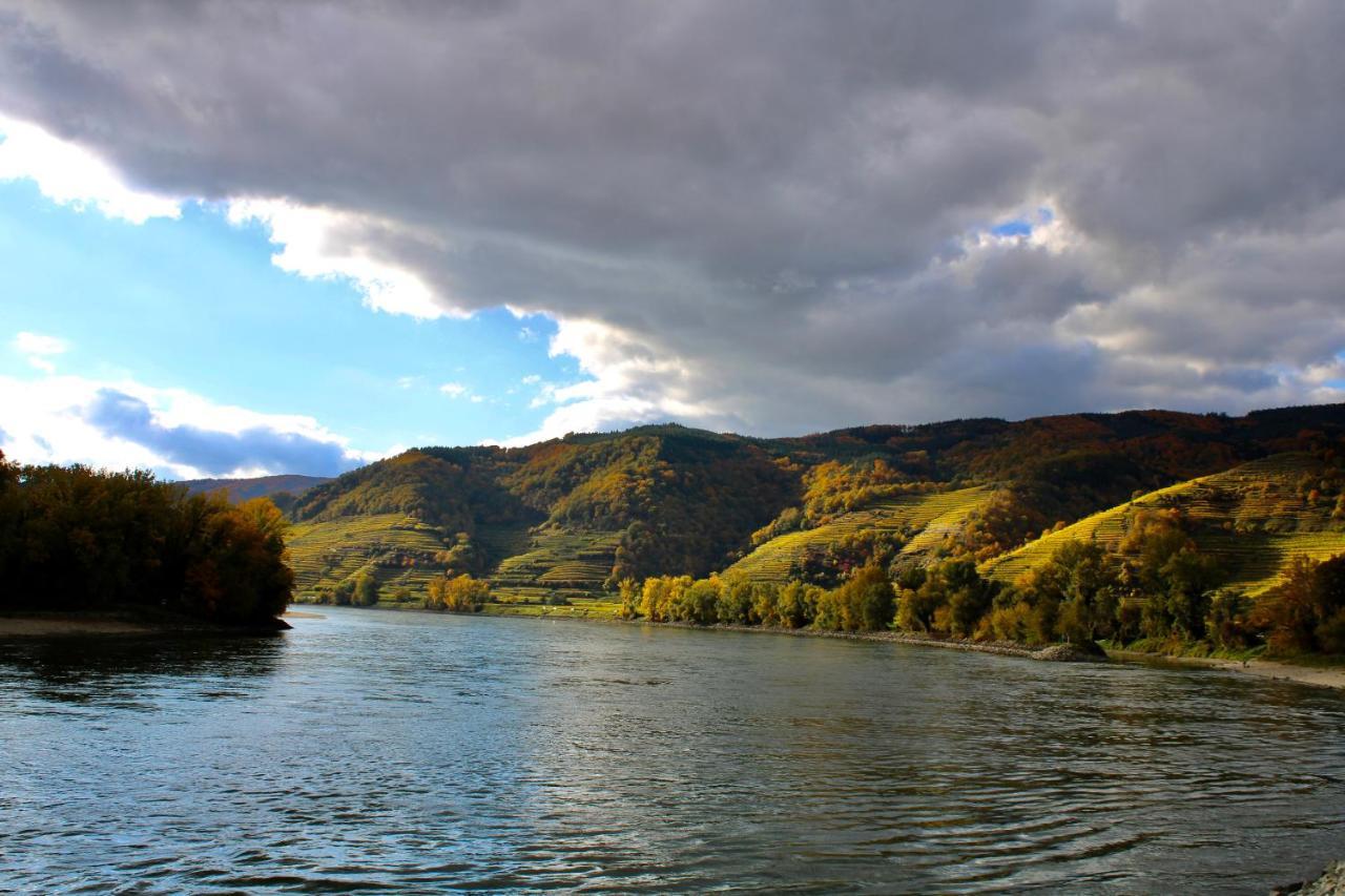 Haus-Donau In Der Wachau Διαμέρισμα Aggsbach Εξωτερικό φωτογραφία