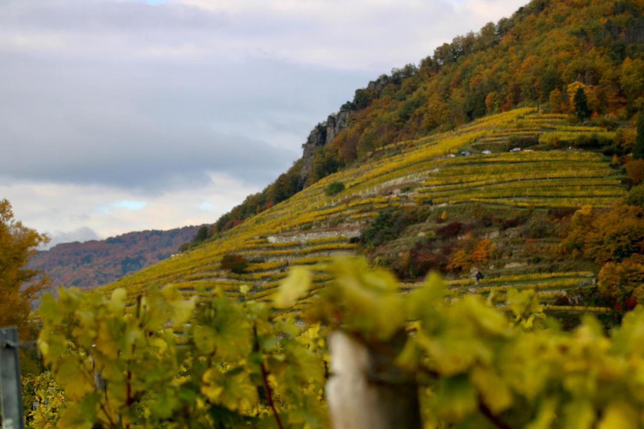 Haus-Donau In Der Wachau Διαμέρισμα Aggsbach Εξωτερικό φωτογραφία