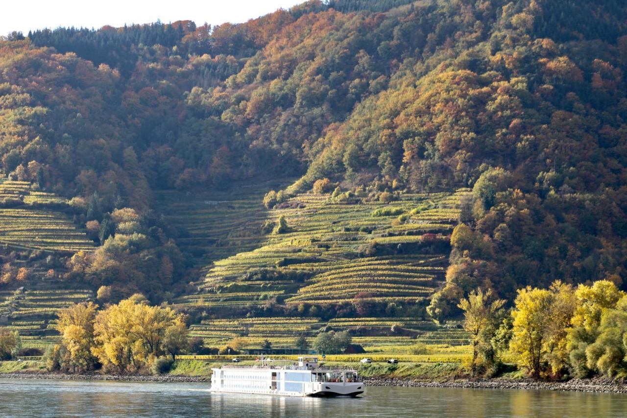 Haus-Donau In Der Wachau Διαμέρισμα Aggsbach Εξωτερικό φωτογραφία