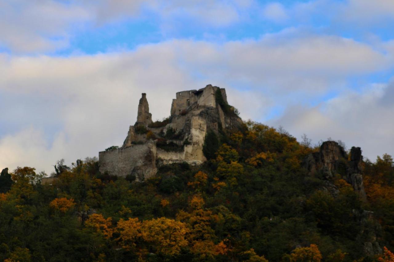 Haus-Donau In Der Wachau Διαμέρισμα Aggsbach Εξωτερικό φωτογραφία