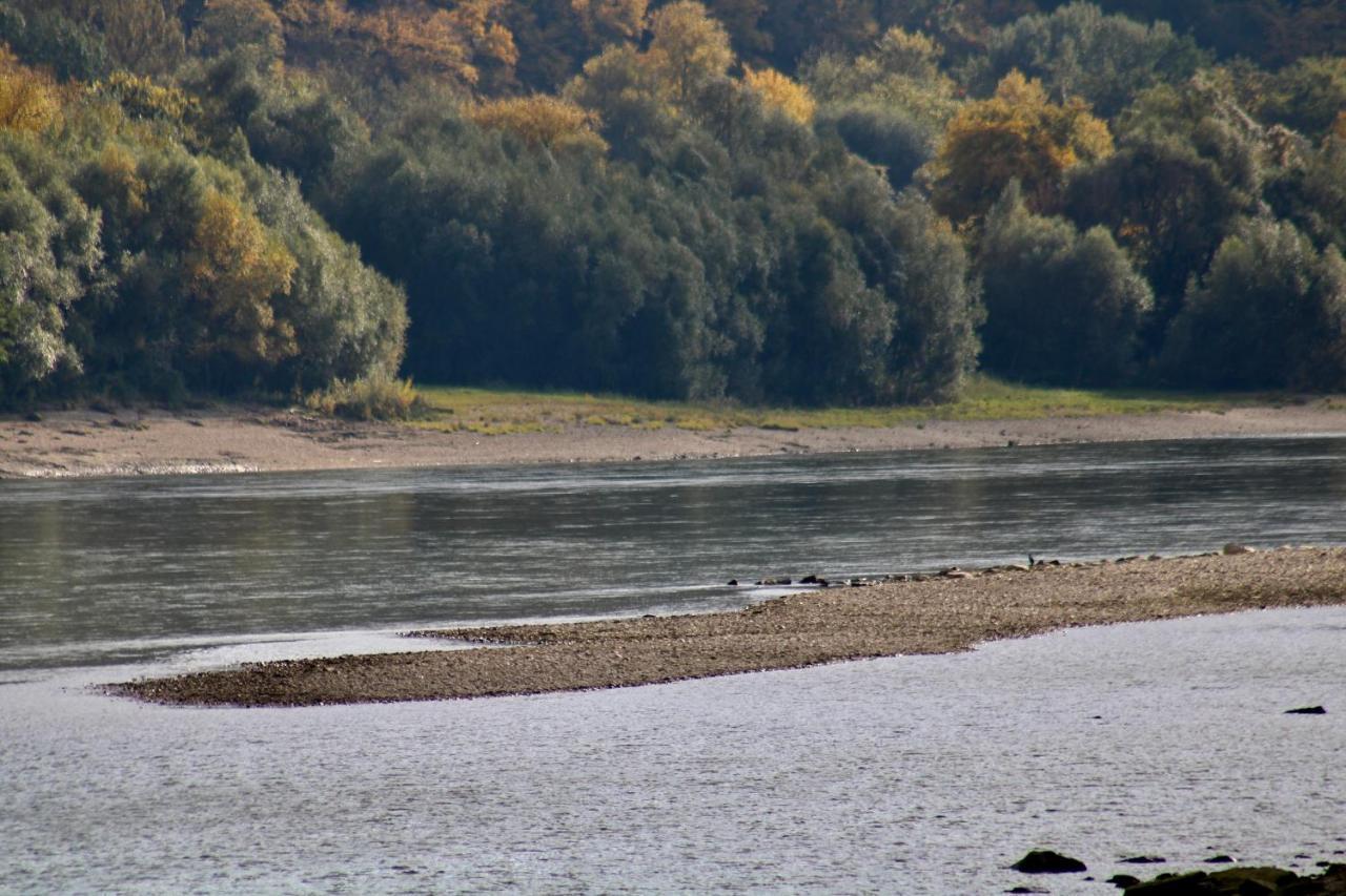 Haus-Donau In Der Wachau Διαμέρισμα Aggsbach Εξωτερικό φωτογραφία