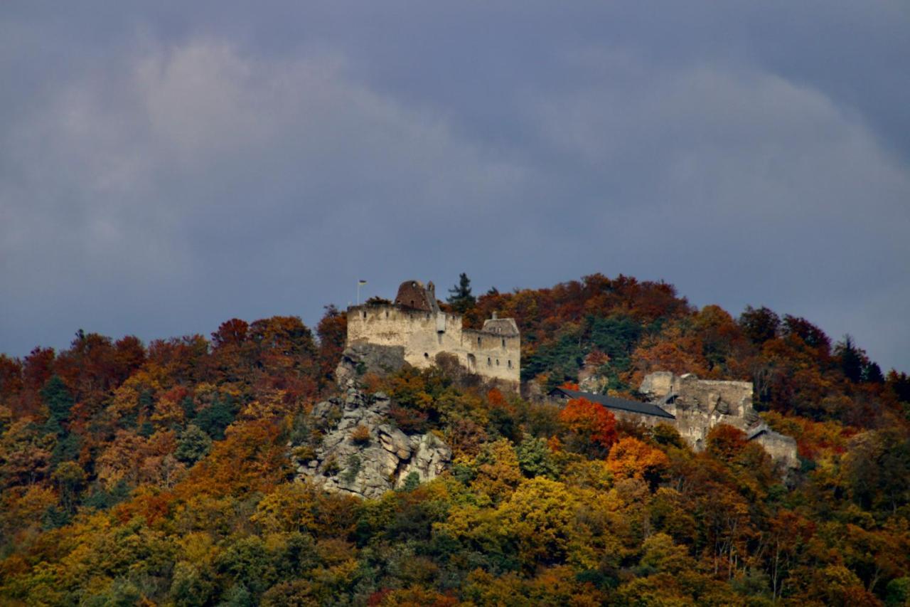 Haus-Donau In Der Wachau Διαμέρισμα Aggsbach Εξωτερικό φωτογραφία