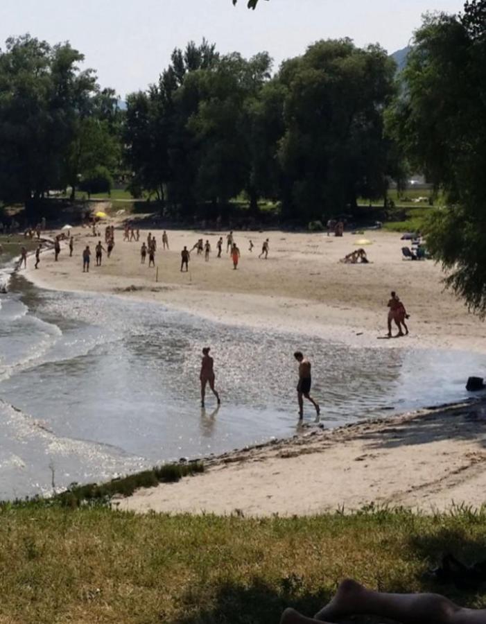 Haus-Donau In Der Wachau Διαμέρισμα Aggsbach Εξωτερικό φωτογραφία